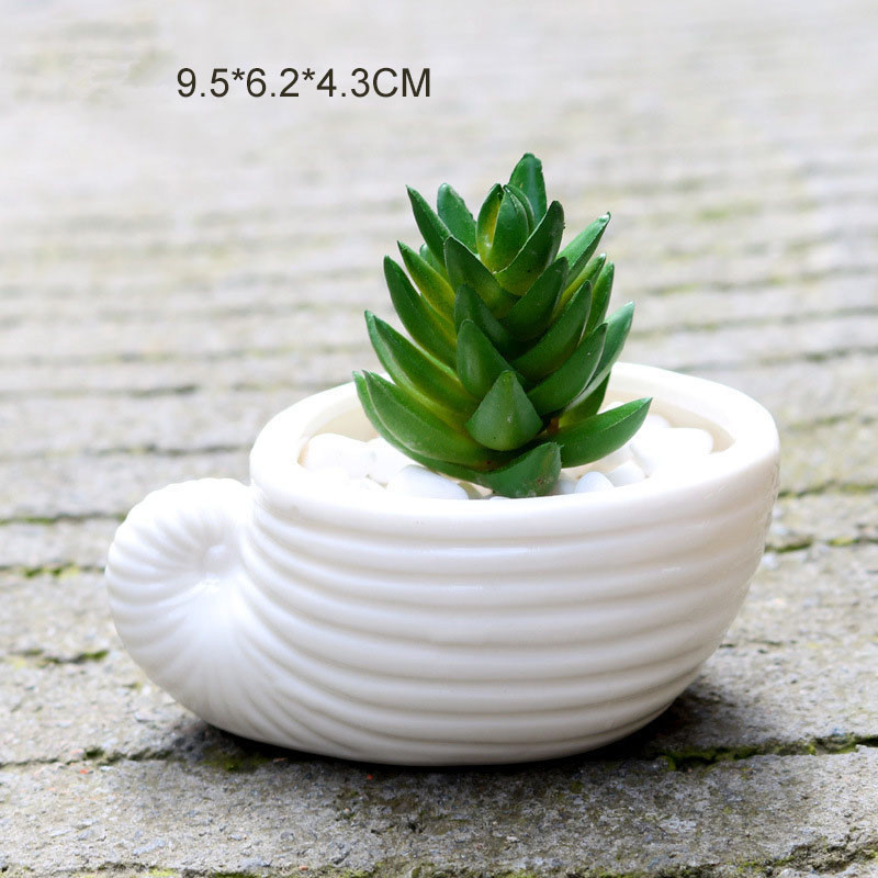 Mini White Small Flower Succulent Pot 6pcs