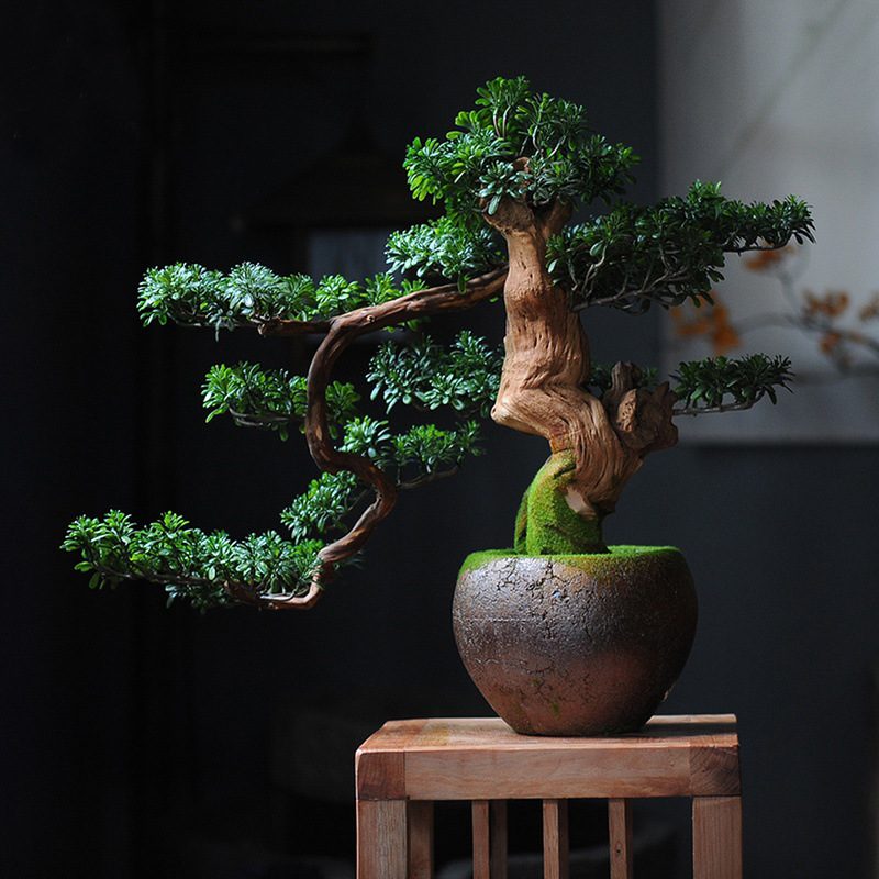 70CM Artificial Big Pine Tree Potted Plants Simulation Desktop Decoration Green Rare Bonsai Hotel Office Home Decor Accessories