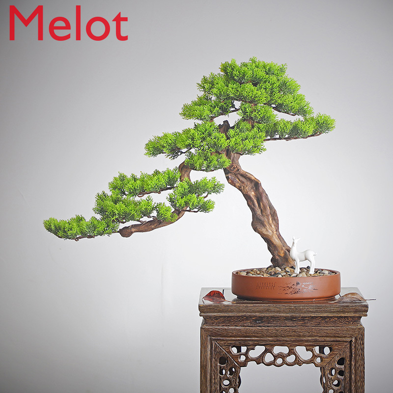 New Chinese Style Root Carving Crafts Artificial Greeting Pine Tree Arborvitae Book Desktop Living Room Office Greenery Bonsai
