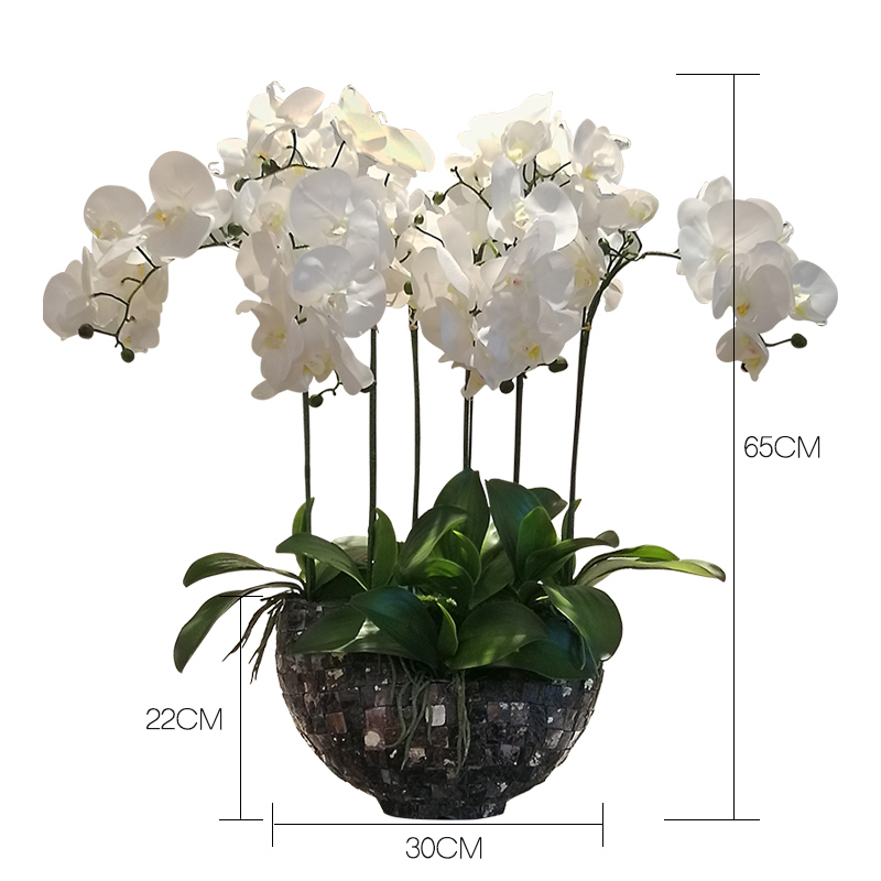 Artificial Phalaenopsis Pu Feel High-Grade Orchid Bonsai Fake Flower Chinese Light Luxury Living Room Dining Table Decoration