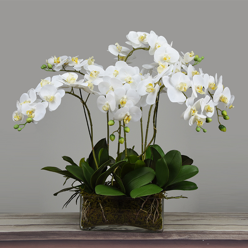 Artificial Phalaenopsis Pu Feel High-Grade Orchid Bonsai Fake Flower Chinese Light Luxury Living Room Dining Table Decoration