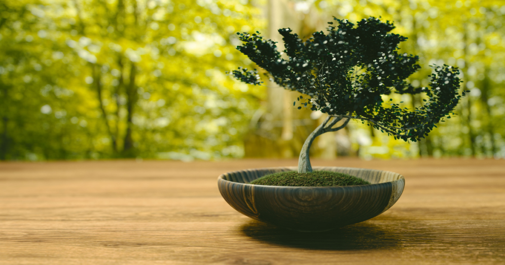 A small bonsai tree in a wood container 