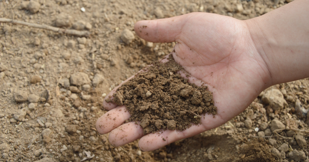 hand holding soil from the ground below
